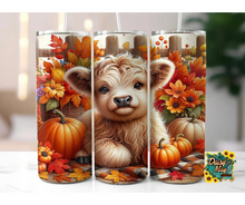 Load image into Gallery viewer, 20oz Stainless Steel Tumblers
